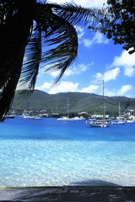 Framed Print : Harbor, palms, blue water at Port Elizabeth in Bequia, Grenadines Framed Print : Harbor, palms, blue water at Port Elizabeth in Bequia, Grenadines