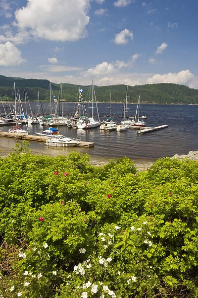 The harbor in the village of l Anse St. Jean on the Saguenay River