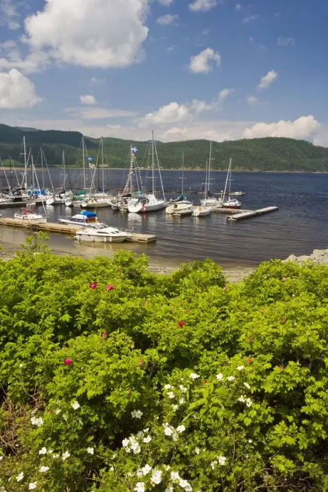 Framed Print : The harbor in the village of l Anse St. Jean on the Saguenay River Framed Print : The harbor in the village of l Anse St. Jean on the Saguenay River