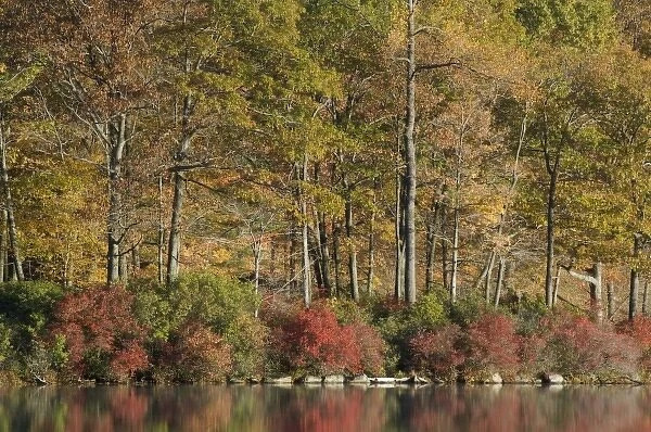 Harriman State Park, New York, USA. Autumn reflections across lake Tiorati