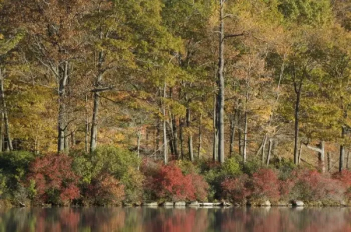 Framed Print : Harriman State Park, New York, USA. Autumn reflections across lake Tiorati