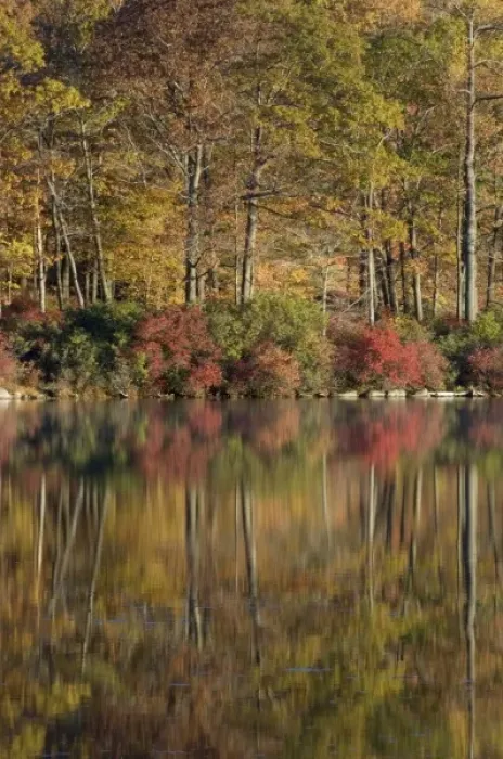 Framed Print : Harriman State Park, New York, USA. Autumn reflections across lake Tiorati Framed Print : Harriman State Park, New York, USA. Autumn reflections across lake Tiorati