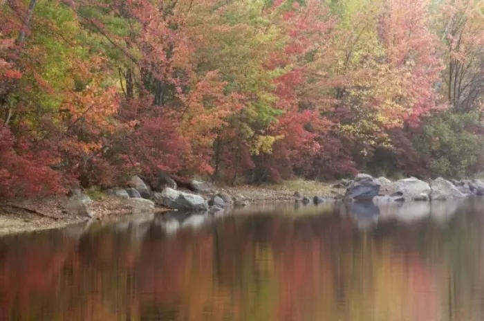 Framed Print : Harriman State Park, New York, USA Reflections of the autumn shoreline