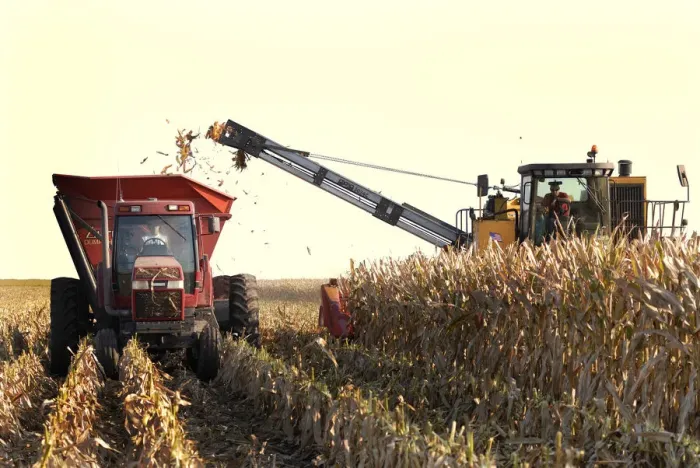 Framed Print : Harvesting corn in Nebraska Framed Print : Harvesting corn in Nebraska