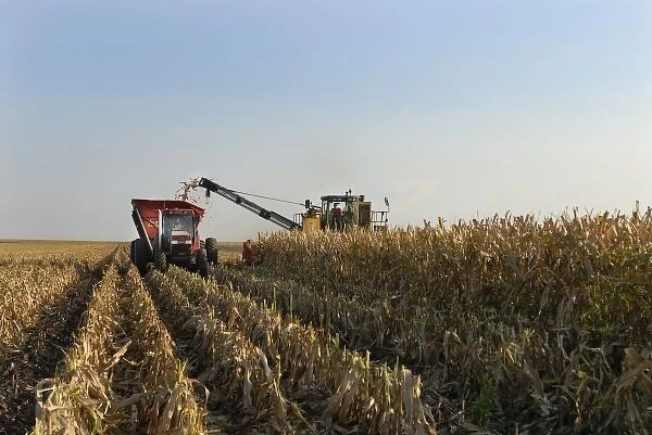 Harvesting corn in Nebraska