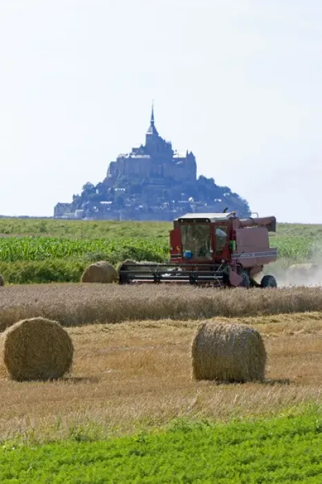 Framed Print : Harvesting wheat with Le Mont Saint Michel in the background in the region of Basse-Normandie Framed Print : Harvesting wheat with Le Mont Saint Michel in the background in the region of Basse-Normandie