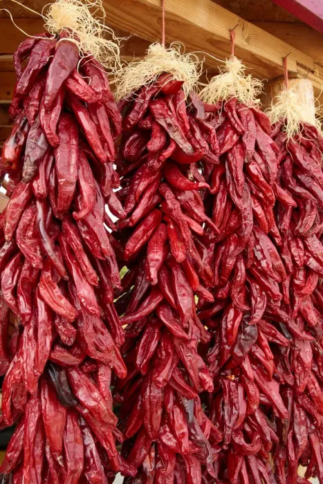 Framed Print : Hatch, New Mexico, United States. Red chiles hang out to dry Framed Print : Hatch, New Mexico, United States. Red chiles hang out to dry