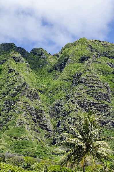 Hau ula Forest Reserve, Koolau Mountain Rage, Oahu, Hawaii