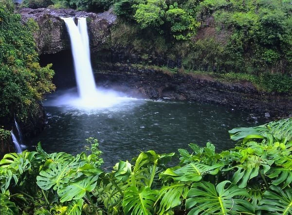 Hawaii, Big Island, Hilo, Rainbow Falls, Lush tropical greenery at Rainbow Falls