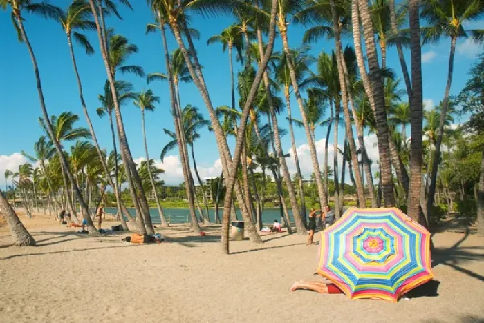 Framed Print : Hawaii, Big Island, Kohala Coast. Anaeho omalu Beach. Palm trees and beach umbrella Framed Print : Hawaii, Big Island, Kohala Coast. Anaeho omalu Beach. Palm trees and beach umbrella