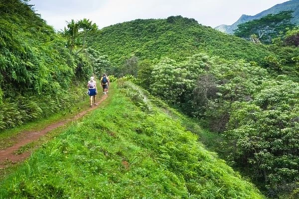Hawaii, USA. The Kuilau and Moalepe trail begin near Wailuas Keahua Arboretum