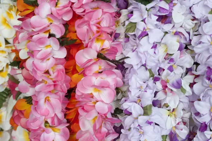 Framed Print : Hawaiian flower garlands display at market place Framed Print : Hawaiian flower garlands display at market place