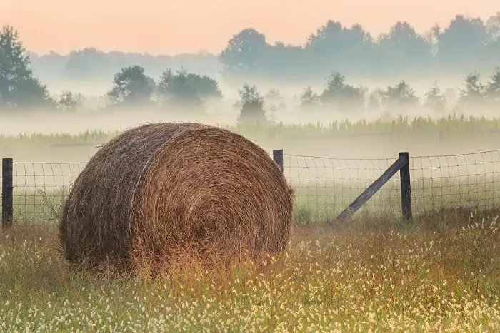 Framed Print : Hay bale in rural farm field, Oldham County, Kentucky Framed Print : Hay bale in rural farm field, Oldham County, Kentucky