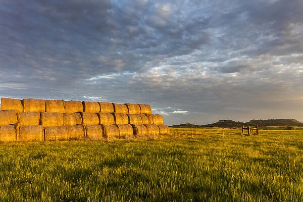 Hay bales and Chalk Buttes receive beautiful morning light near Ekalaka, Montana, USA