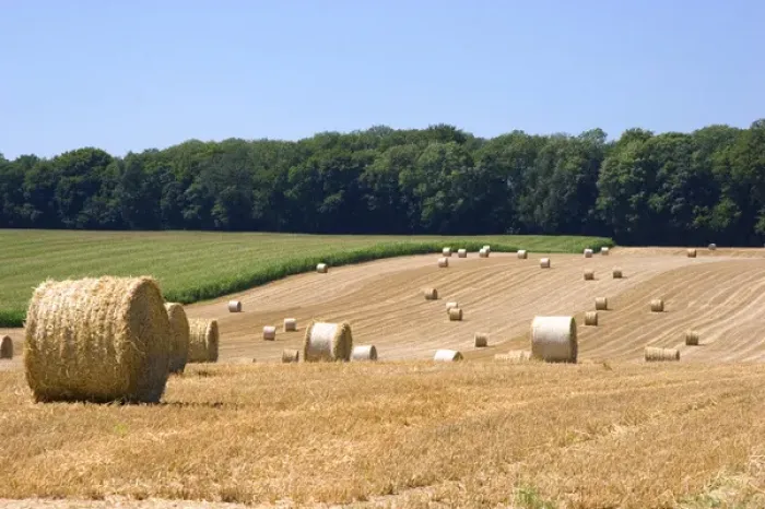 Framed Print : Hay bales in the french countryside near Vervins in the region of Picardie, France