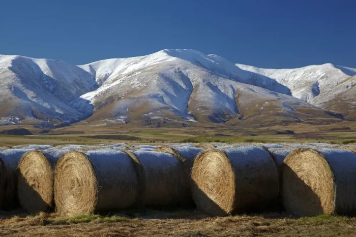Framed Print : Hay bales and Kakanui Mountains, Kyeburn, near Ranfurly, Maniototo, Central Otago Framed Print : Hay bales and Kakanui Mountains, Kyeburn, near Ranfurly, Maniototo, Central Otago