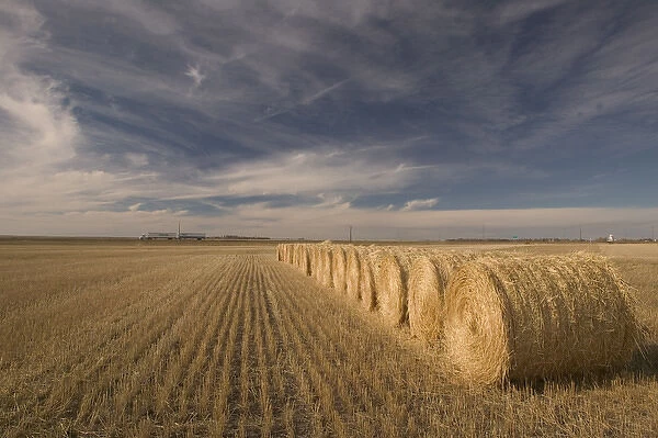 02. Canada, Saskatchewan, Craik: Hayrolls  /  Autumn and Prairie Landscape