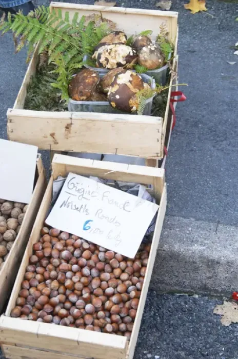 Framed Print : Hazelnut nuts for sale at a market stall at the market in Bergerac for 6 euro per kilo Framed Print : Hazelnut nuts for sale at a market stall at the market in Bergerac for 6 euro per kilo