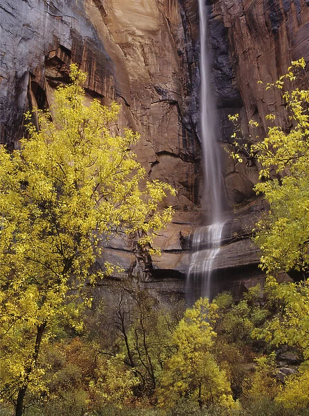 At the head of Zion canyon, waterfalls run intermittantly