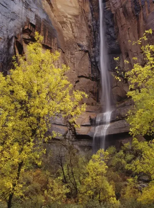Framed Print : At the head of Zion canyon, waterfalls run intermittantly Framed Print : At the head of Zion canyon, waterfalls run intermittantly