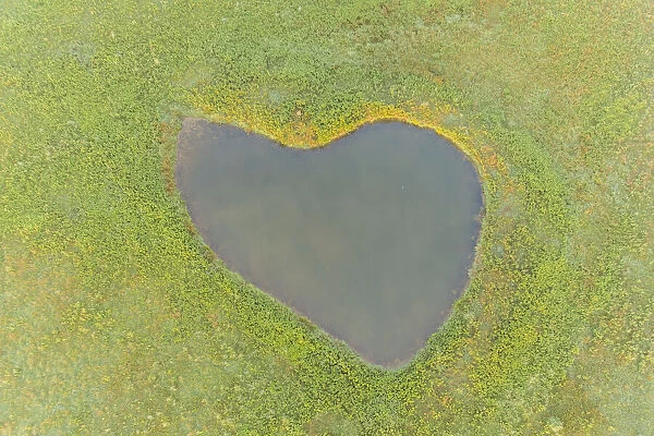 Heart shaped pond, Marion County, Illinois