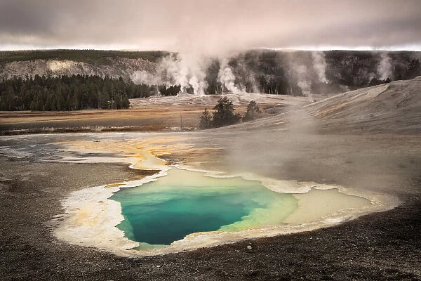 Heart spring, a hot spring of the Upper Geyser Basin, Yellowstone National Park, Wyoming