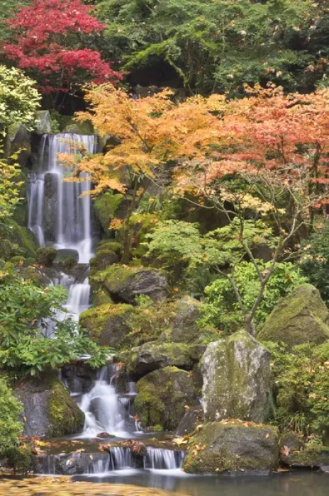 Framed Print : Heavenly Falls and autumn colors, Portland Japanese Garden, Oregon Framed Print : Heavenly Falls and autumn colors, Portland Japanese Garden, Oregon