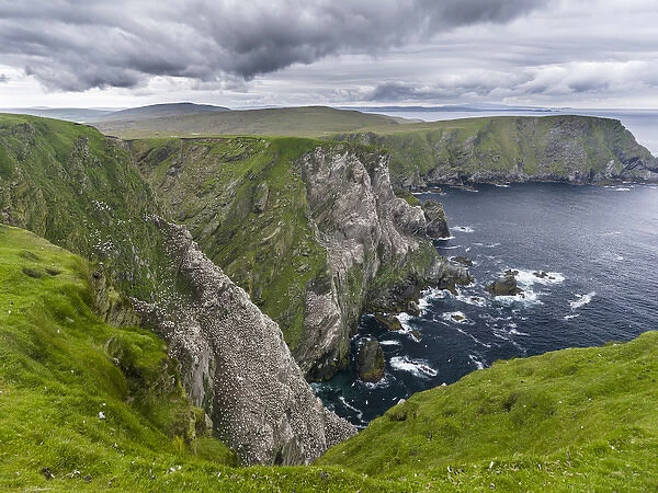 Hermaness National Nature Reserve on the island Unst