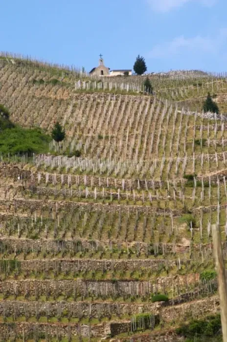 Framed Print : The Hermitage chapel. The Hermitage vineyards on the hill behind the city Tain-l Hermitage Framed Print : The Hermitage chapel. The Hermitage vineyards on the hill behind the city Tain-l Hermitage