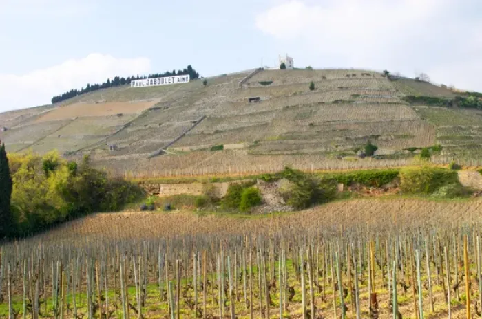 Framed Print : The Hermitage vineyards on the hill behind the city Tain-laiHermitage, The Maison Blanche Framed Print : The Hermitage vineyards on the hill behind the city Tain-laiHermitage, The Maison Blanche