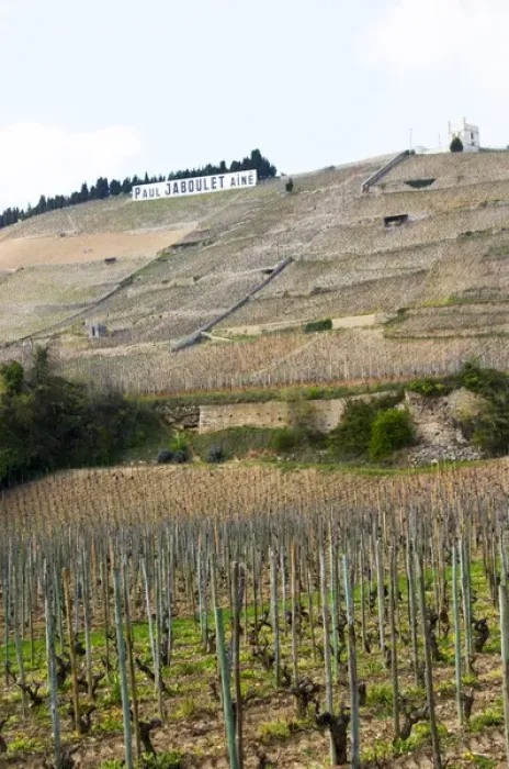 Framed Print : The Hermitage vineyards on the hill behind the city Tain-laiHermitage, The Maison Blanche Framed Print : The Hermitage vineyards on the hill behind the city Tain-laiHermitage, The Maison Blanche