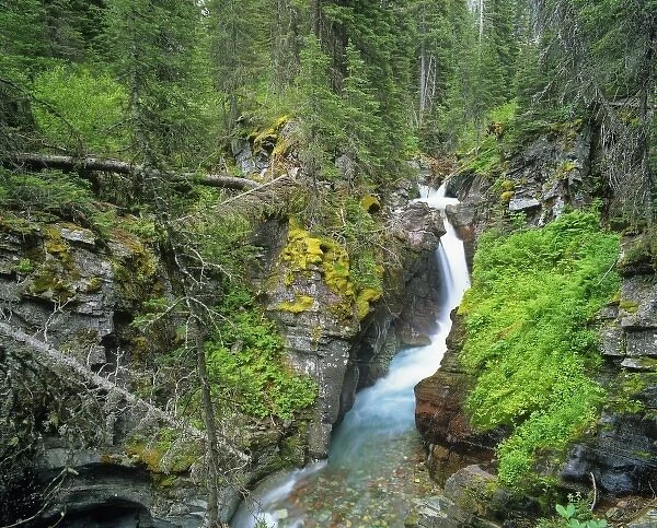 Hidden Falls in the Many Glacier Valley of Glacier National Park, Montana, USA