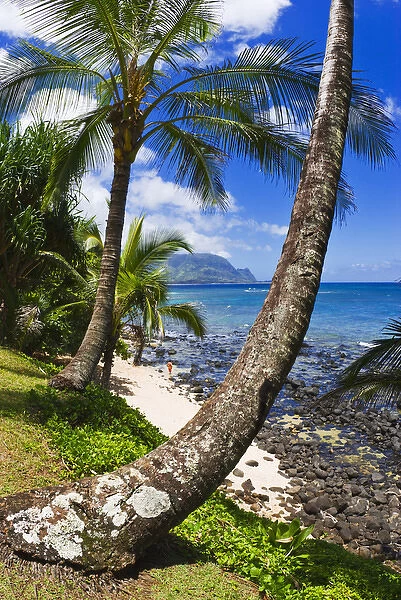 Hideaways Beach and the Na Pali Coast, North Shore, Island of Kauai, Hawaii USA