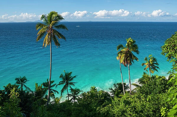 A high angle view of palm trees and tropical vegetation on a beach in the Indian Ocean. Fregate Island, Seychelles