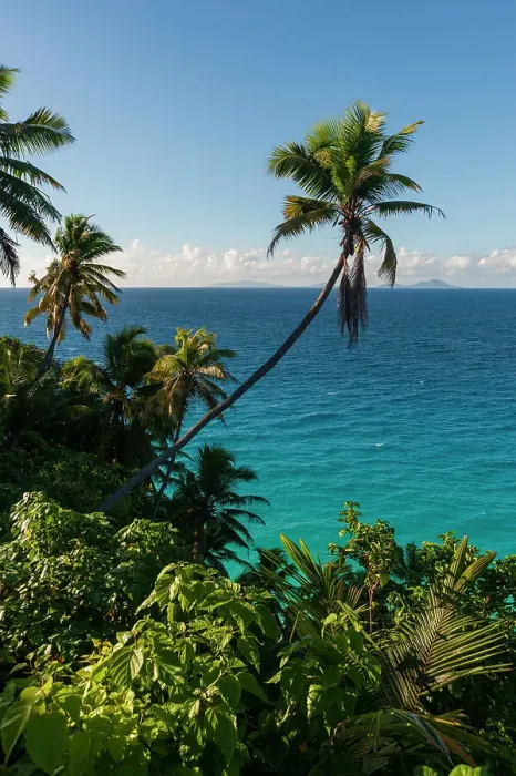 Framed Print : A high angle view of palm trees and tropical vegetation on a beach in the Indian Ocean. Fregate Island, Seychelles Framed Print : A high angle view of palm trees and tropical vegetation on a beach in the Indian Ocean. Fregate Island, Seychelles