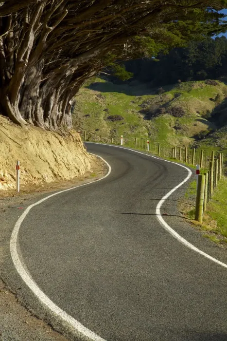 Framed Print : Highcliff Rd, Otago Peninsula, Dunedin, South Island, New Zealand