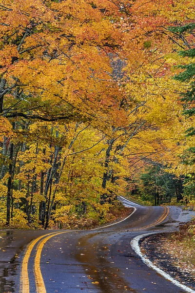 Highway 41 covered roadway in autumn near Copper Harbor in the Upper Peninsula of Michigan