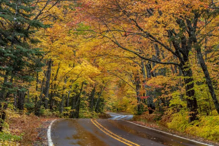 Framed Print : Highway 41 covered roadway in autumn near Copper Harbor in the Upper Peninsula of Michigan Framed Print : Highway 41 covered roadway in autumn near Copper Harbor in the Upper Peninsula of Michigan