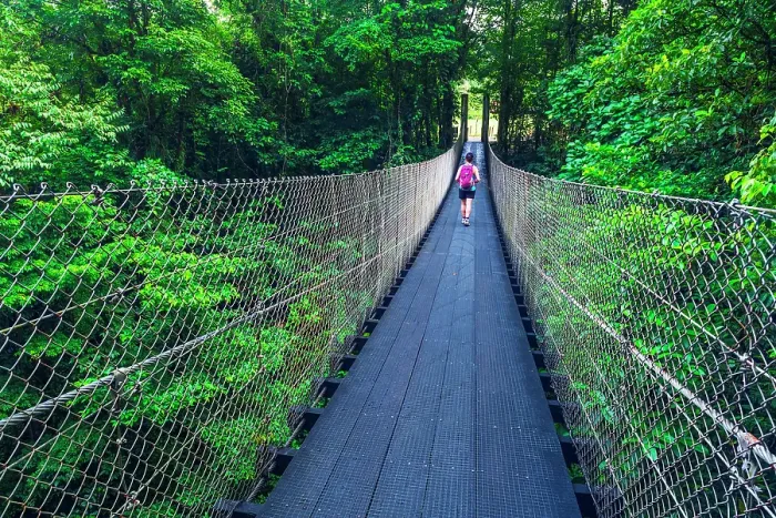 Framed Print : Hiker on the Danta Bridge, Arenal Volcano National Park, Costa Rica. (MR) (Editorial Use Only) Framed Print : Hiker on the Danta Bridge, Arenal Volcano National Park, Costa Rica. (MR) (Editorial Use Only)
