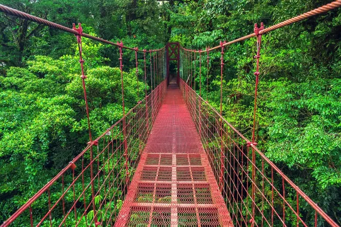Framed Print : Hikers on a red suspension bridge, Monte Verde Cloud Forest Preserve, Alajuela Province, Costa Rica