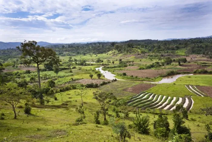 Framed Print : Hilly landscape of the southern ugandan highlands close to Bwindi National Park. The area is farmed Framed Print : Hilly landscape of the southern ugandan highlands close to Bwindi National Park. The area is farmed