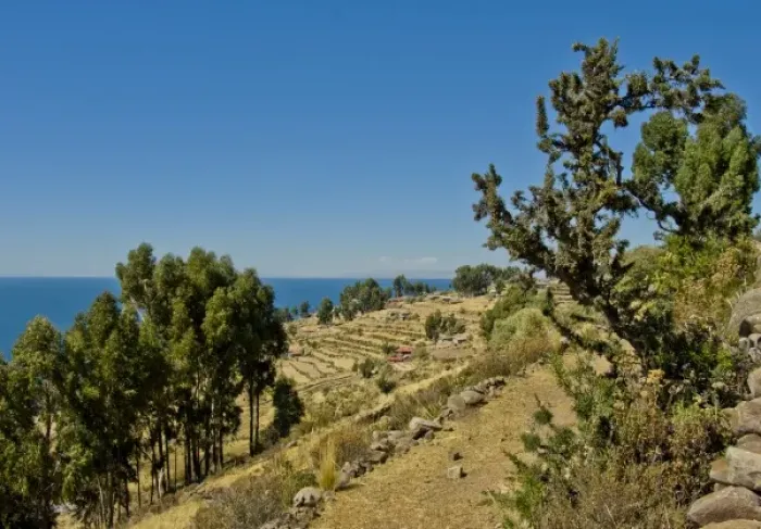 Framed Print : Hilside of the island of Taquile in Lake Titicaca, Peru