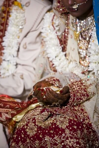 Hindi Wedding, Trou D Eau Douce, Mauritius, Africa (MR)