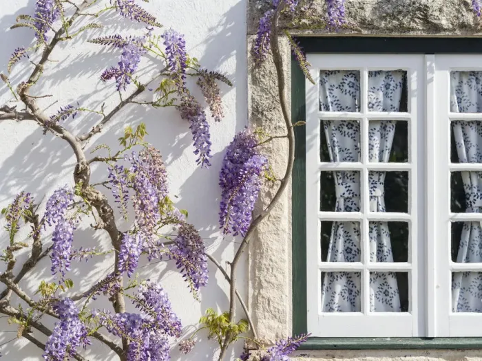Framed Print : Historic small town Obidos with a medieval old town. Tourist attraction north of Lisboa Framed Print : Historic small town Obidos with a medieval old town. Tourist attraction north of Lisboa