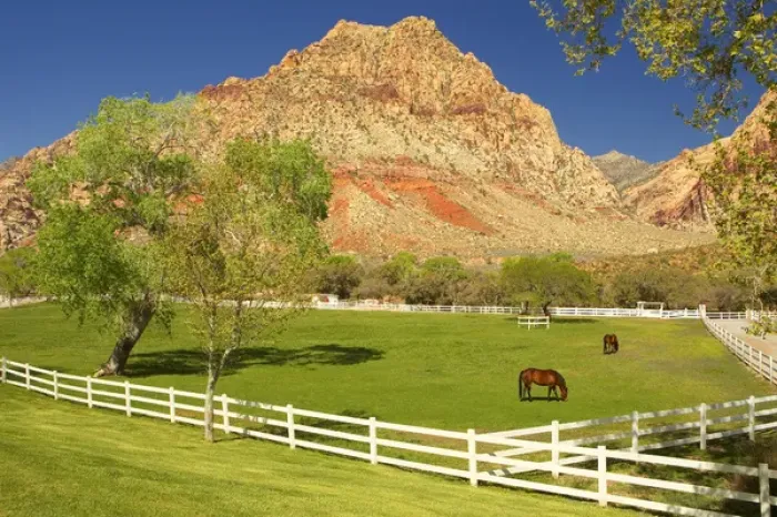 Framed Print : Historic Spring Mountain Ranch, Red Rocks Canyon National Conservation Area, Nevada Framed Print : Historic Spring Mountain Ranch, Red Rocks Canyon National Conservation Area, Nevada