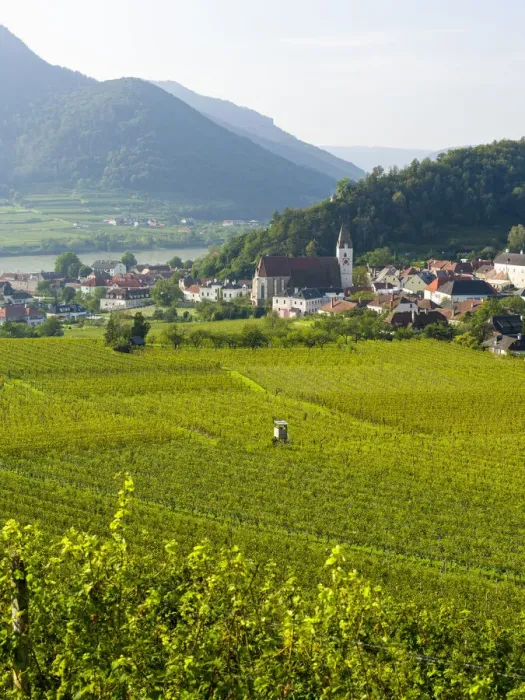 Framed Print : Historic village Spitz located in wine-growing area, UNESCO World Heritage Site Framed Print : Historic village Spitz located in wine-growing area, UNESCO World Heritage Site