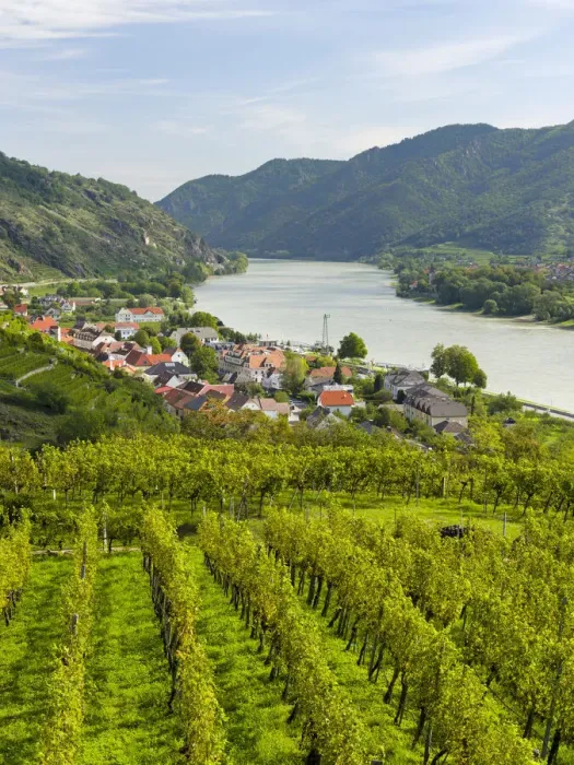 Framed Print : Historic village Spitz located in wine-growing area, UNESCO World Heritage Site