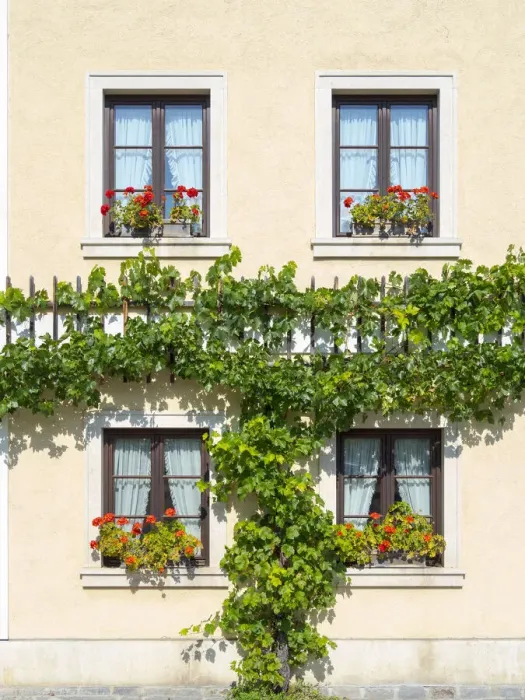Framed Print : Historic village Unterloiben located in wine-growing area, UNESCO World Heritage Site Framed Print : Historic village Unterloiben located in wine-growing area, UNESCO World Heritage Site