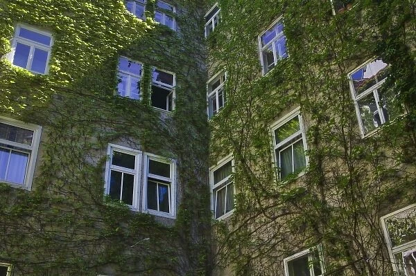 Historical buildings covered by ivy, Vienna, Austria