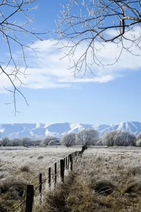 Framed Print : Hoar Frost and Farmland near Oturehua, Central Otago, South Island, New Zealand Framed Print : Hoar Frost and Farmland near Oturehua, Central Otago, South Island, New Zealand